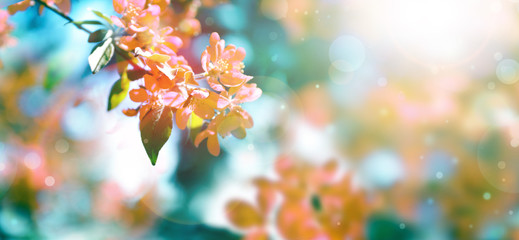 丝网花的材料怎么买么